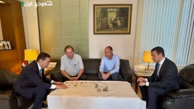 قطع أثرية نادرة, التراث الحضاري في مصر, حماية الآثار المصرية, استعادة الآثار المهربة, وزارة السياحة والآثار, التعاون الدولي في الآثار, الحضارة المصرية القديمة, الزخارف النجمية, الفنون المصرية القديمة, الجهود الحكومية للحفاظ على الآثار