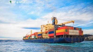 تعزيز الصادرات المصرية وتوسيع نطاقها في الأسواق العالمية