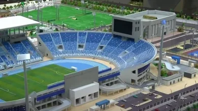 استاد هيئة قناة السويس