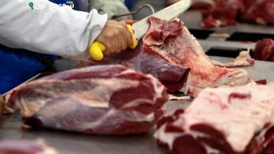 التموين تطرح اللحوم بأسعار مخفضة وتواصل صرف مقررات أغسطس التموينية