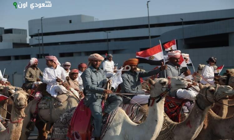 سباقات الهجن في العلمين