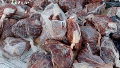 ضبط 12 طن من اللحوم والجمبري غير المطابقة في طلخا