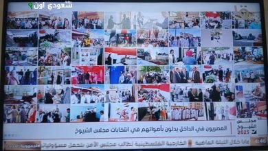 التليفزيون المصري يتيح نقل انتخابات مجلس الشيوخ من خلال 90 نافذة عرض مختلفة