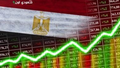 البورصة المصرية