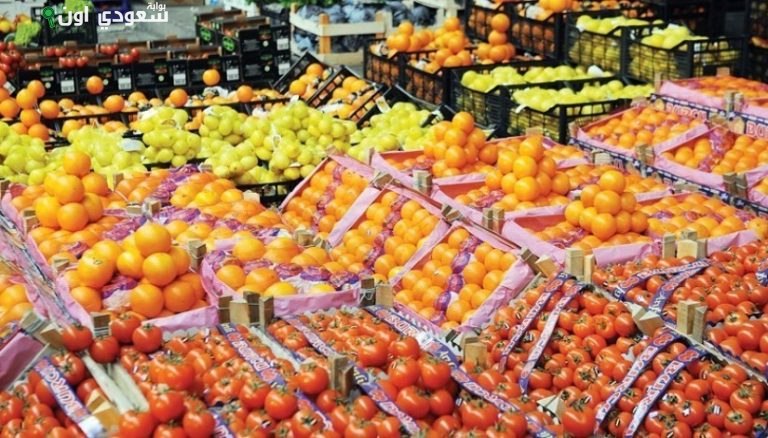 الهيئة القومية لسلامة الغذاء تكشف عن زيادة صادرات الأغذية إلى 165 ألف طن