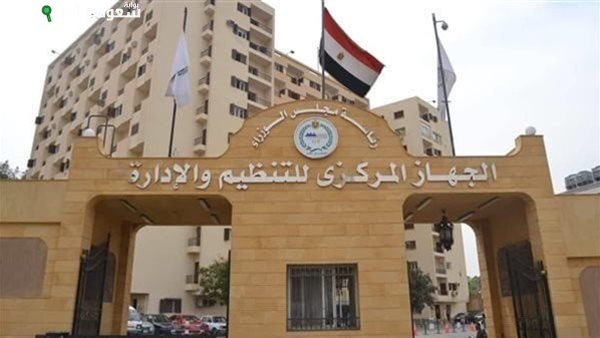 التنظيم والإدارة