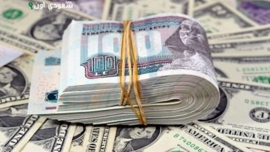 سعر الدولار مقابل الجنيه المصري