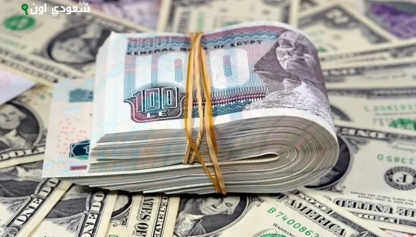 سعر الدولار مقابل الجنيه المصري
