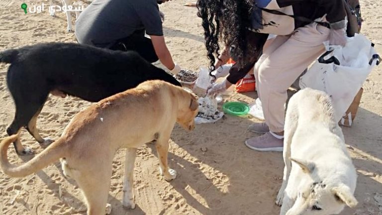 مبادرة الرفق بالحيوانات الأليفة وعلاجها