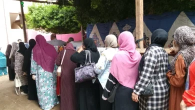 السيدات يحتلين الصدارة أمام لجان انتخابات مجلس الشيوخ في القليوبية اليوم