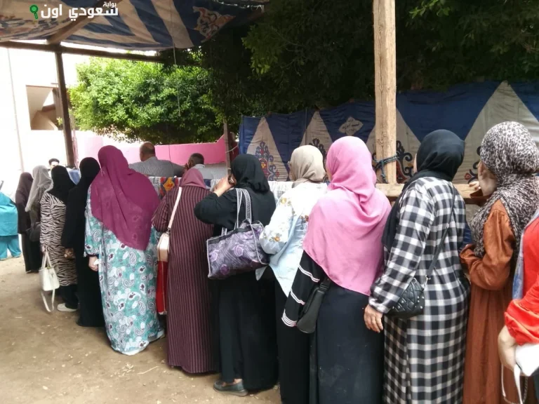 السيدات يحتلين الصدارة أمام لجان انتخابات مجلس الشيوخ في القليوبية اليوم