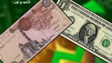 سعر الدولار أمام الجنيه المصري