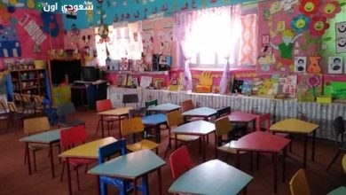 محافظ كفر الشيخ يستعرض جاهزية 2377 مدرسة لاستقبال الطلاب