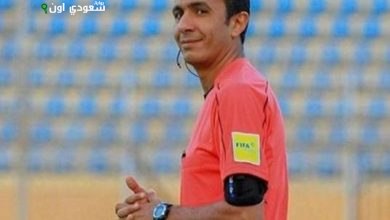 طارق مجدي