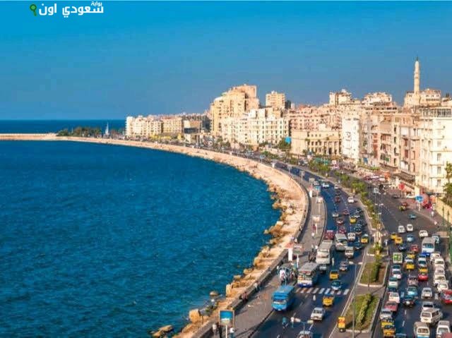 الإسكندرية تتأهل لنصف نهائي جائزة سيول للمدن الذكية