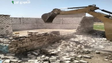 إزالة 88 حالة تلاعب بالأراضي الزراعية وأملاك الدولة في البحيرة