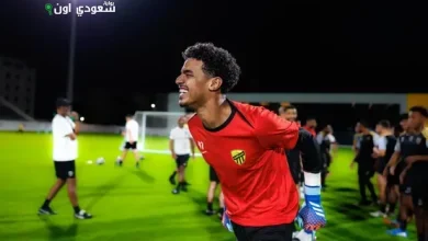 حامد الشنقيطي