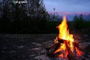 صورة مقال ذو صلة: ضبط شخص مخالف بيئيًا أطلق النار في أماكن غير مخصصة بالمدينة المنورة