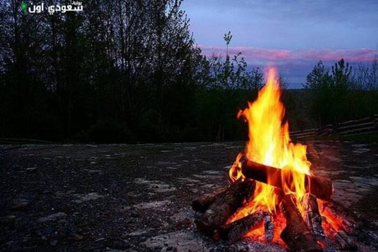ضبط شخص مخالف بيئيًا أطلق النار في أماكن غير مخصصة بالمدينة المنورة