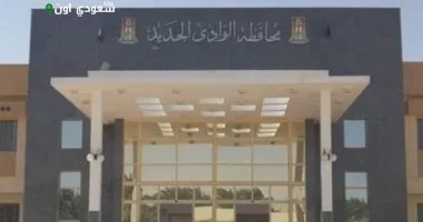 "مشروعك" تقدم دعمًا لـ5 شرائح من خريجي الوادي الجديد