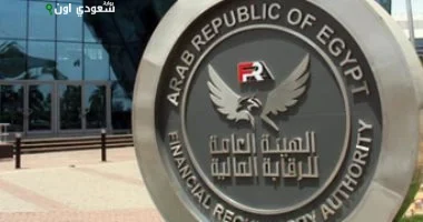 الهيئة العامة للرقابة المالية المعايير المصرية للتقييم المالي