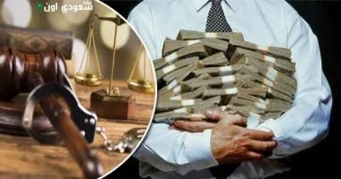 الفرق بين الإفلاس والبروتستو وعدد حالاتهما في مصر 2024