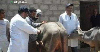 انطلاق الحملة القومية لمكافحة الحمى القلاعية بالأقصر