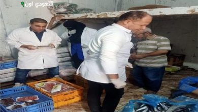 القطيف تكشف عن 369 كيلوجرام لحوم غير صالحة