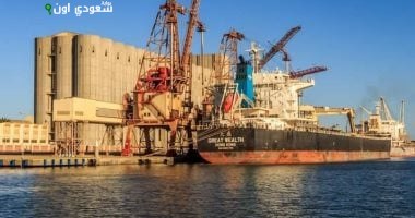 صوامع الغلال بميناء دمياط
