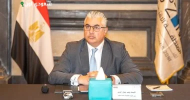 رئيس اقتصادية قناة السويس