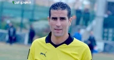 محمود ناجي