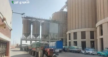 توريد 520 ألف طن قمح للصوامع في محافظة المنيا اليوم