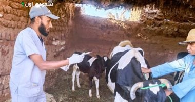 حملات تحصين ضد الحمى القلاعية الجديدة