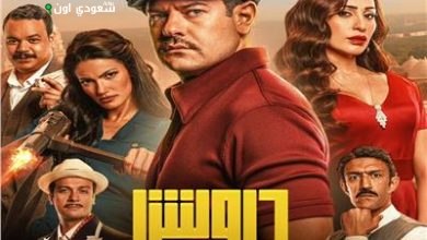عرض أفيش فيلم "درويش"
