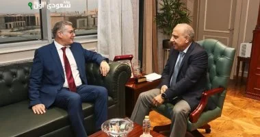 وزيري الكهرباء والبترول