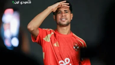 رضا سليم