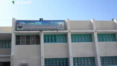 محافظ الوادي الجديد: 5 مولدات طوارئ لدعم كهرباء الفرافرة