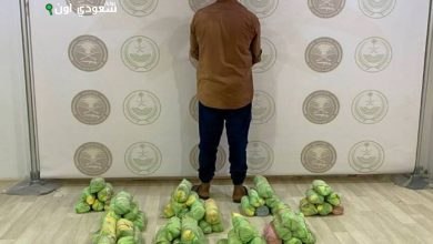 اعتقال متورط في تهريب 14 كيلو من مخدر القات