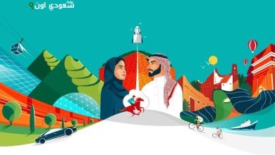 الهوية الرسمية لليوم الوطني 95