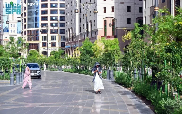 وزير الصحة: مدن المملكة أصبحت نموذجًا عالميًا في الصحة العامة