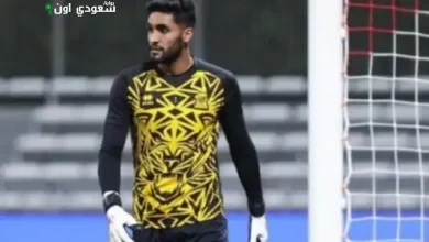 راكان النجار