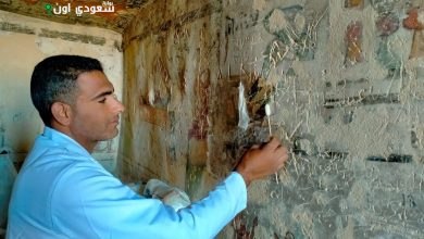 اكتشف مقبرة "الأخوين" في أتريبس الأثرية بعد ترميمها