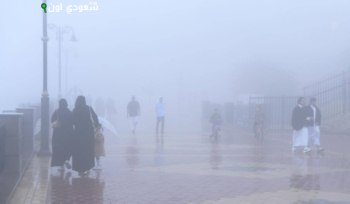 حالة الطقس في الشرقية: ضباب صباحي خفيف يؤثر على عدة مناطق