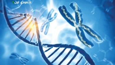 جامعة طيبة تساهم في اكتشاف جين يسبب اختلال نمو الدماغ المبكر