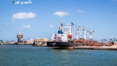 حركة التداول بموانئ البحر الأحمر