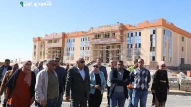 محافظ الوادي الجديد يعلن سحب الأراضي المخصصة لمشروعات زراعية بباريس لمخالفة الشروط
