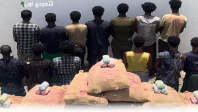 جازان: اعتقال 13 شخصاً لتهريبهم
