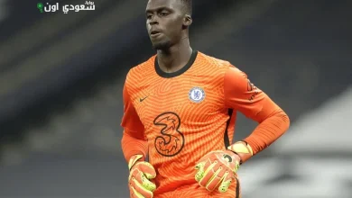 إدوارد ميندي،