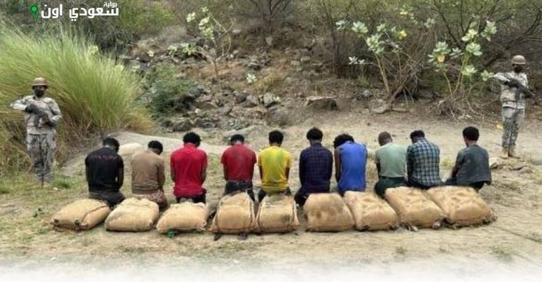 القبض على عشرة مخالفين في جازان لتهريبهم 150 كيلوغراماً من القات