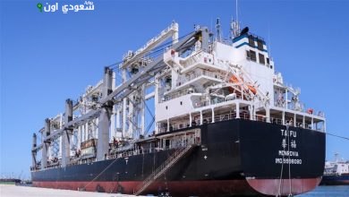 ميناء دمياط يسجل نشاطًا متواصلًا
